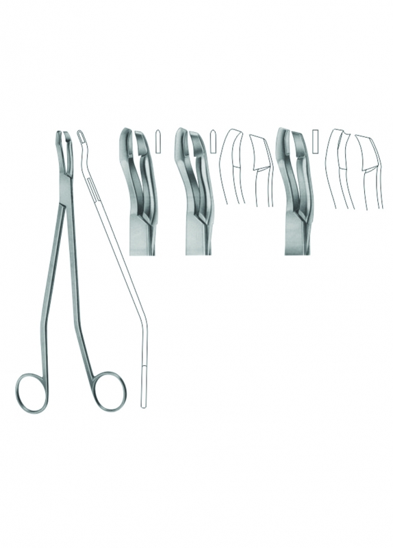 Biopsy Forceps